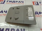 Плафон салонный Opel Astra 1230143