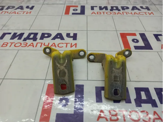 Петли двери передней правой Opel Astra