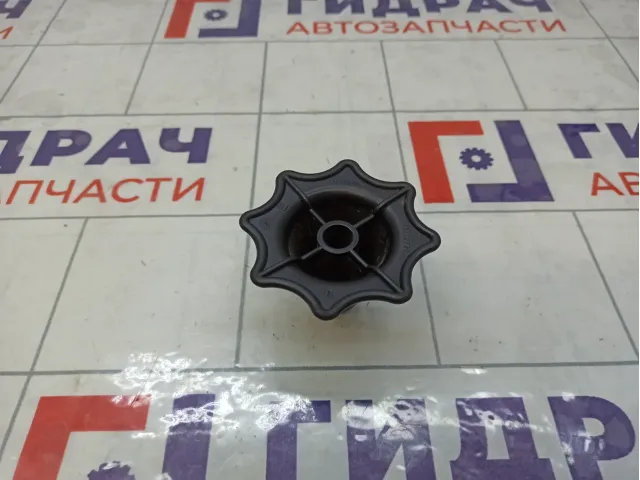 Крепление (болт) запасного колеса Opel Astra 1315006