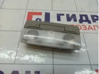 Плафон салонный Opel Astra 1230155