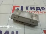Плафон салонный Opel Astra 1230155