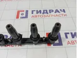 Рампа (кассета) катушек зажигания Opel Astra