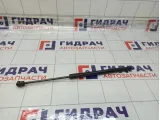Амортизатор крышки (двери) багажника Opel Astra 315005777