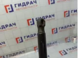 Амортизатор крышки (двери) багажника Opel Astra 315005777