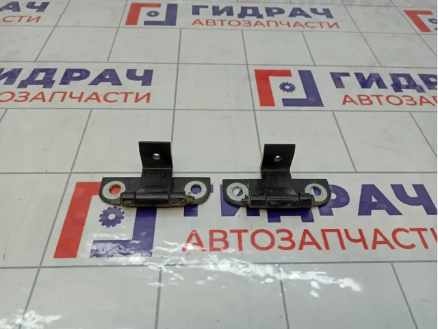 Петли двери багажника Opel Astra