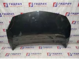 Капот Opel Astra GTC (J) 1160087