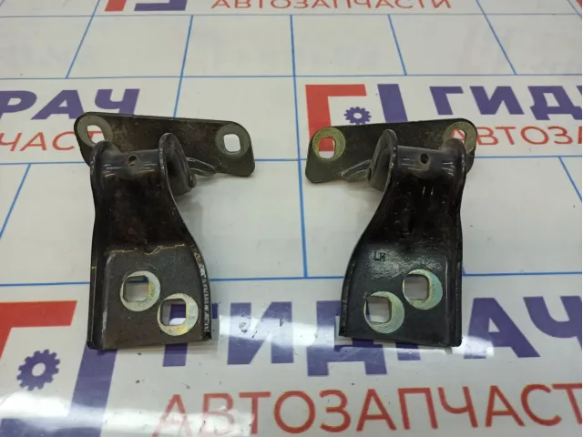 Петли двери багажника Opel Astra GTC (J)