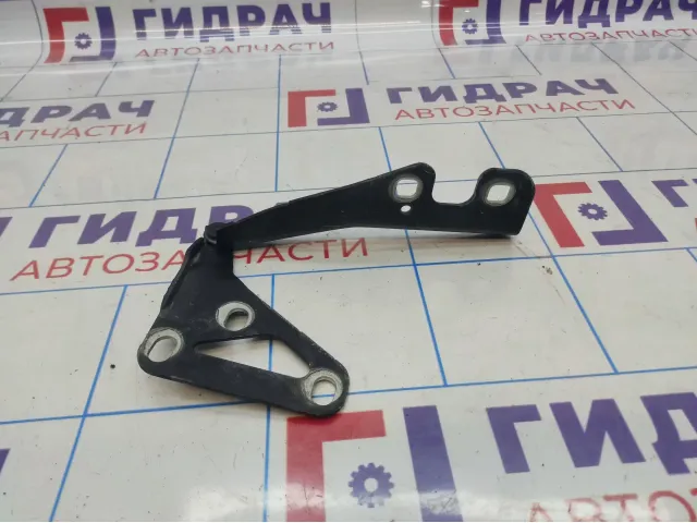 Петля капота левая Opel Astra (H) 13213447