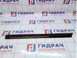 Молдинг задней левой двери Opel Astra (H) 5172415