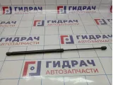 Амортизатор капота Opel Astra (H) 24465295