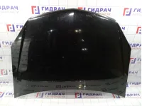 Капот Opel Astra (H) 1160254