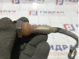 Датчик кислородный первый Opel Astra (H) 55561425