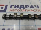 Распредвал впускной Opel Astra (H) 636054