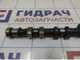 Распредвал выпускной Opel Astra (H) 636063