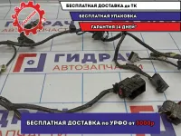 Проводка двери передней левой Opel Astra H 13208871. Сломана фишка.