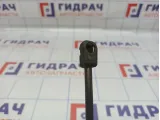 Амортизатор двери багажника Opel Astra H 24463829.