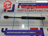 Амортизаор крышки багажника Opel Astra H 24465295.