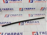 Уплотнитель стекла переднего правого Opel Astra (H) 24468023