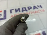 Форсунка инжекторная электрическая Opel Astra (H) 5817429