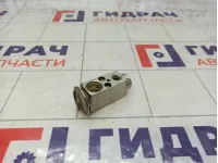 Клапан кондиционера Opel Astra (H) 52414608