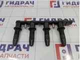 Рампа (кассета) катушек зажигания Opel Astra (H) 1208021