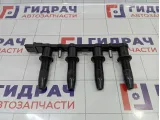 Рампа (кассета) катушек зажигания Opel Astra (H) 1208021