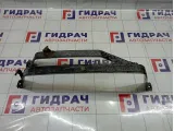 Лента крепления бензобака Opel Astra (H) 812138