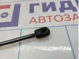 Амортизатор капота Opel Astra (H) 24465295