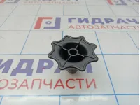 Болт крепления запасного колеса Opel Astra (J) 13132390.