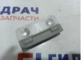 Плафон салонный Opel Astra (J) 22774329.