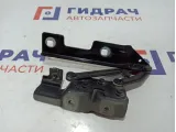 Петля капота правая Opel Astra (J) 1160030.
