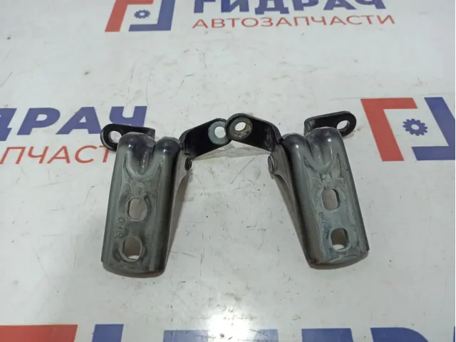 Петли двери передней левой Opel Astra (J) .