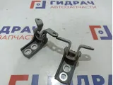 Петли двери передней левой Opel Astra (J) .