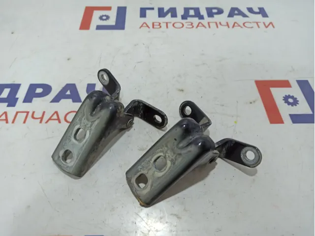 Петли двери передней правой Opel Astra (J) .