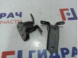 Петли двери задней правой Opel Astra (J) .