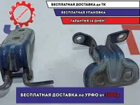 Петли двери задней правой Opel Astra J . Комплект.