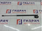 Амортизатор двери багажника левый Opel Astra (J) 13258179