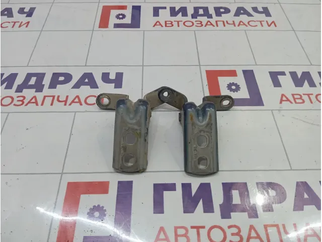 Петли двери задней левой Opel Astra (J)