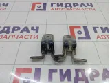 Петли двери задней левой Opel Astra (J)