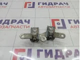 Петли двери задней левой Opel Astra (J)