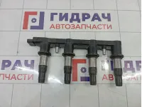 Рампа (кассета) катушек зажигания Opel Astra (J) 55584404