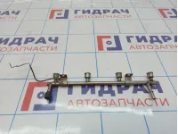 Рейка топливная (рампа) Opel Astra (J) 817048.