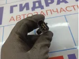 Датчик абсолютного давления Opel Astra (J) 12591290.