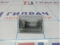 Плафон салонный Opel Corsa (D) 13126729.