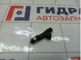 Форсунка инжекторная Opel Corsa 5817425