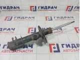 Амортизатор передний правый Opel Corsa 344655