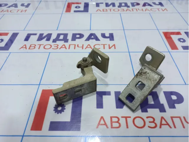 Петли двери передней правой Opel Corsa D