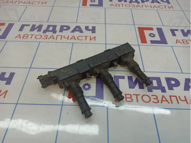 Рампа кассета катушек зажигания Opel Corsa D 1208028