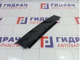 Накладка двери задней левой Opel Insignia 2160589
