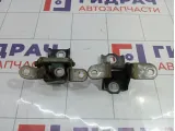 Петли двери передней правой Opel Insignia